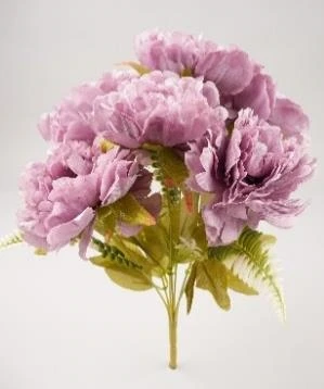 Mountain Peony Bunch x7